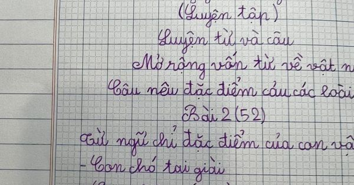 Làm bài tập đặt câu nêu đặc điểm của con vật, bé gái tiểu học khiến dân mạng 