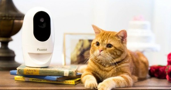 Lắp camera có thể giúp bảo đảm an ninh, nhưng vẫn có những vị trí nên tránh?