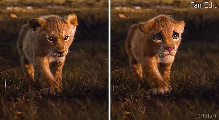 Lion King: Đáng lý tạo hình các nhân vật phải như thế này mới chuẩn