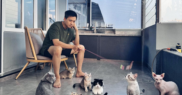 Nam nghệ sĩ sở hữu mỗi quận 2 căn nhà: “Phú ông” showbiz Việt, 23 tuổi có con, U40 siêu giàu, chưa vợ