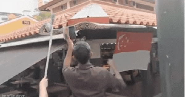 Đi uống cà phê bất ngờ gặp trăn khủng, cả quán đồng loạt hợp sức để vây bắt 