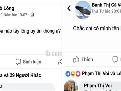 Bật cười với loạt ảnh hài hước: Khi các loài sinh vật biết chơi mạng xã hội