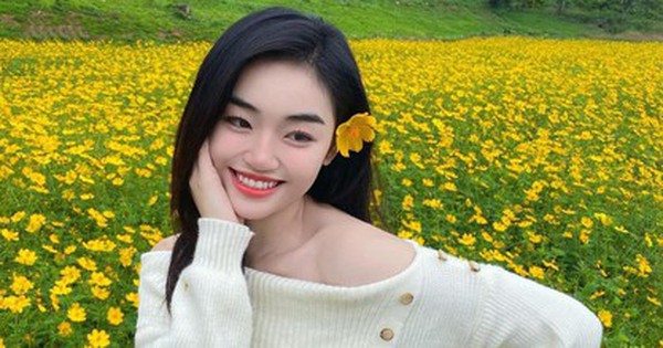 Đọc profile tân hoa hậu Hòa bình Việt Nam 2025, cư dân mạng đặt dấu chấm hỏi
