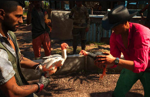 Far Cry 6 bị lên án vì mini game chọi gà