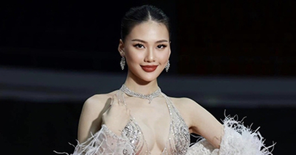 Bùi Quỳnh Hoa vắng mặt tại chung kết Miss Earth Vietnam hậu lùm xùm đời tư, BTC nói gì?