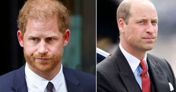 Harry muốn dùng “cầu nối” chiến lược để hàn gắn tình anh em với Thân vương William nhưng Meghan không đồng tình - GIẢI TRÍ