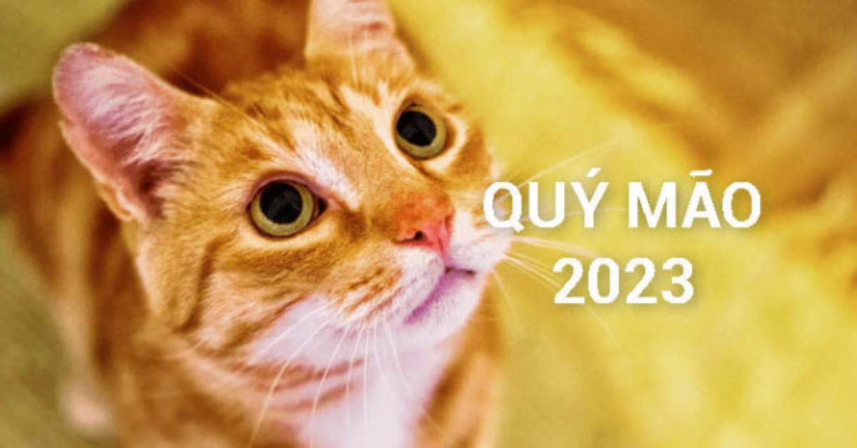 Cách đơn giản giúp những con giáp nam nữ dưới đây bị sao Kế Đô chiếu năm 2023 hóa giải vận hạn và quan điểm nhà Phật về sao Kế Đô