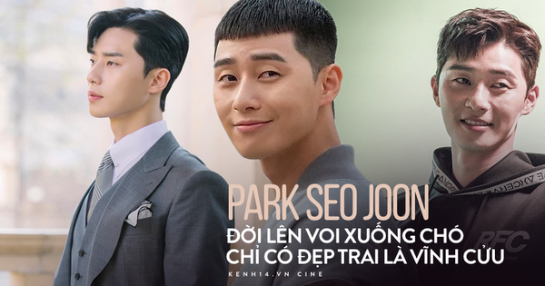 Gia tài diễn xuất Park Seo Joon xét về độ 