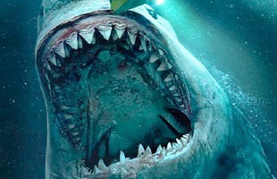 Cùng tìm hiểu về Megalodon, kẻ săn mồi khổng lồ trong 