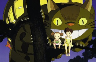 Khám phá sự thật đáng sợ về Totoro- chú mèo 