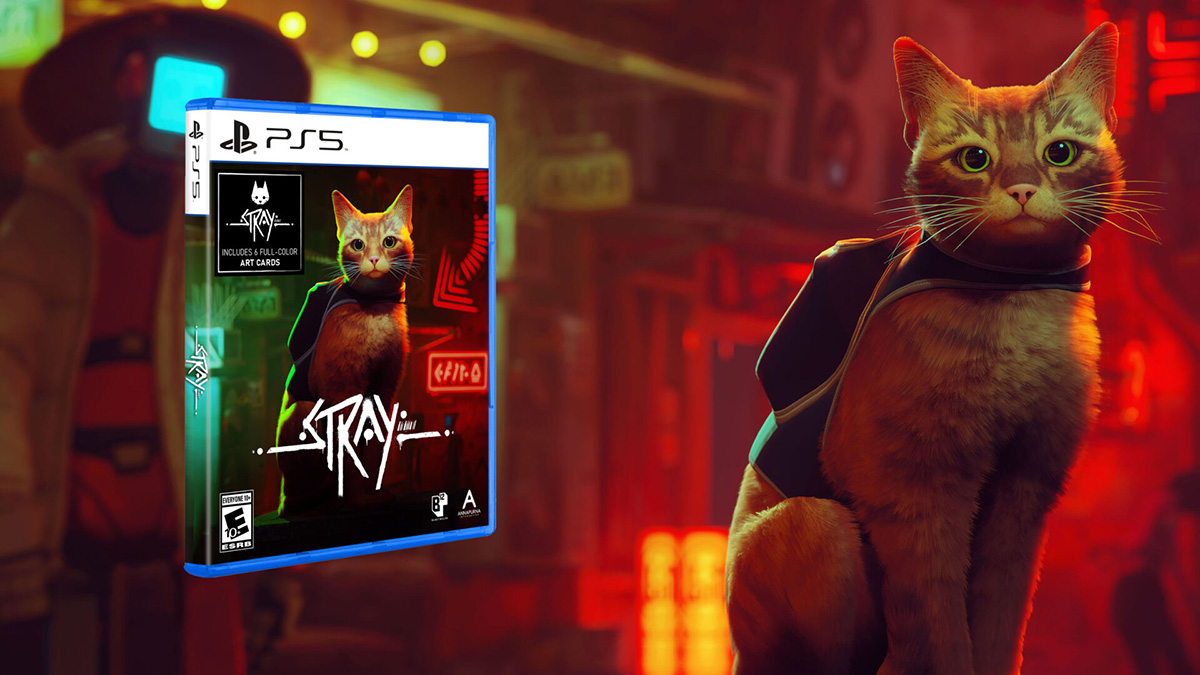 Stray: Tựa game cho người chơi làm “hoàng thượng” có bản đĩa vào tháng 9