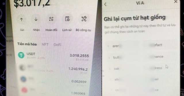 Chiêu 'lộ' mật khẩu ví để dụ đăng nhập, lừa tiền số - CÔNG NGHỆ