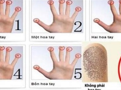 Các cụ nói cấm có sai: 1 hoa nghèo, 2 hoa giàu… bạn có mấy hoa tay hay không có cái nào?