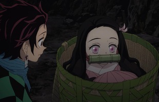 Kimetsu no Yaiba: Nezuko là một con quỷ đặc biệt như thế nào?