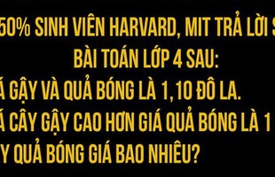 Bài Toán 50% sinh viên Harvard trả lời sai: Giá gậy và bóng là 1,1 USD. Giá gậy cao hơn bóng 1 USD. Hỏi giá bóng?