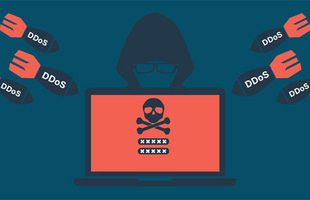 Hacker tuổi teen đứng sau vụ tấn công DDoS rúng động thế giới năm 2016 cúi đầu nhận tội