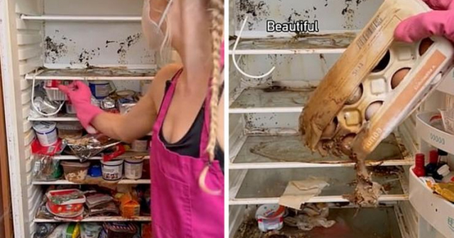 Cô gái gây sốc khi dọn chiếc tủ lạnh 3 năm không mở