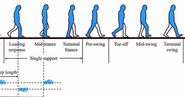 Giải mã hiện tượng 'ma đưa lỗi, quỷ dẫn đường' dưới góc nhìn khoa học