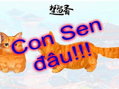 Game thủ Sở Lưu Hương Mobile sắp hóa thành “con sen” để phục vụ những “boss” thế này đây