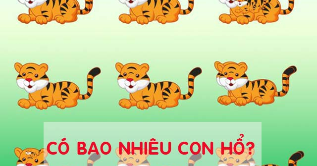 Bạn có tự tin mình giải hết được những bài quiz này?