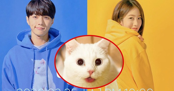 Meow The Secret Boy có rating thấp kỉ lục, netizen phàn nàn: Cốt truyện trẻ con, L (Infinite) diễn dở hơn cả 