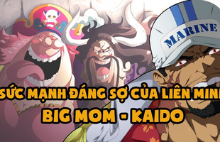 One Piece: Tại sao phía hải quân vẫn ám binh bất động trước liên minh của hai Tứ Hoàng?