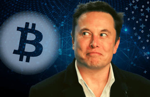 Người dùng Twitter phát hiện ra Elon Musk mua vào 10 nghìn Bitcoin ngay lúc ra tweet 