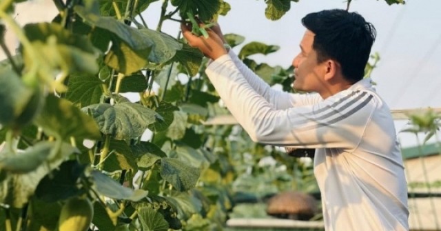 Ông bố 29 tuổi ở Hà Nội làm vườn trồng rau, nuôi cá rộng 200m2 trên sân thượng
