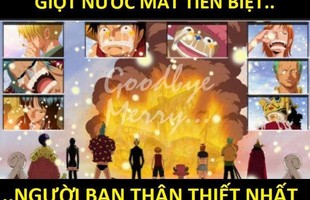 One Piece: Xúc động khi nhìn lại những lần rơi lệ của băng Mũ Rơm, có những khoảnh khắc khiến fan không cầm được nước mắt