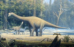 Top 5 điều thú vị mà có thể bạn chưa biết về khủng long Sauropod