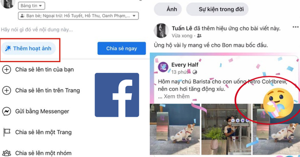 Facebook vừa cập nhật tính năng mới siêu dễ thương, nhưng không phải ai cũng có!