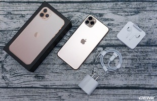 iPhone 11 Pro Max về Việt Nam trước ngày Apple mở bán
