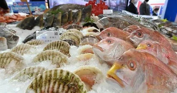 Hàn Quốc khuyến cáo tránh ăn hải sản sống vì 