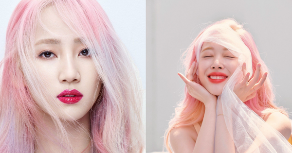 Netizen tố cáo Choiza gián tiếp hại chết Sulli, mỹ nhân Wonder Girls phản pháo lại hay đến mức khiến ai cũng phải gật gù