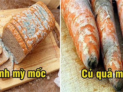 Có những thực phẩm bị mốc vẫn ăn được ngon lành, không hại sức khỏe