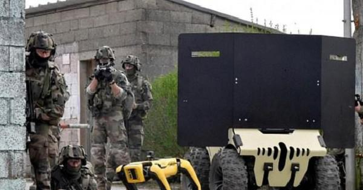 Xem chó robot trị giá 1,7 tỷ đồng của quân đội Pháp 'trổ tài' chiến đấu