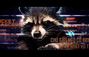 Gấu mèo cô đơn nhất vũ trụ Rocket Racoon sẽ kết thúc hành trình ở 