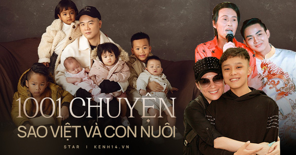 1001 chuyện con nuôi trong showbiz: Phi Nhung gặp liên hoàn biến, Hoài Linh nghi cạch mặt Hoài Lâm đến nay vẫn chưa xoá bỏ