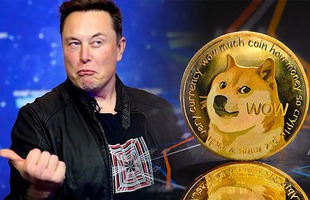 Elon Musk bị kiện tại Mỹ vì liên quan đến Dogecoin