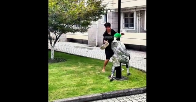 Clip: Những khoảnh khắc đo ván, nằm đường đầy "muối mặt" của robot