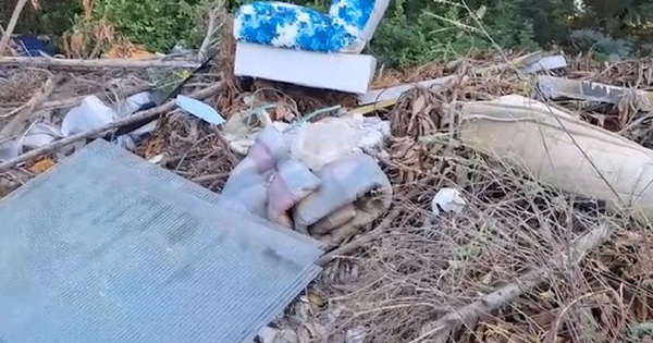 Đang giăng lưới đánh cá, ngư dân phát hiện bí mật đáng sợ ở bãi rác