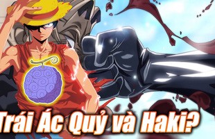 Câu hỏi muôn thủa trong One Piece: So sánh Trái Ác Quỷ với Haki, năng lực nào mạnh hơn?