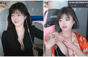 Lần đầu lên sóng, nữ streamer gợi cảm lập kỷ lục donate, kiếm hơn 300 triệu chỉ trong 6 tiếng