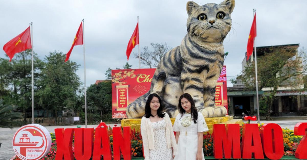 Đi hơn 10 km để chụp ảnh check in bên 'hoa hậu' mèo Quảng Trị gây sốt mạng xã hội
