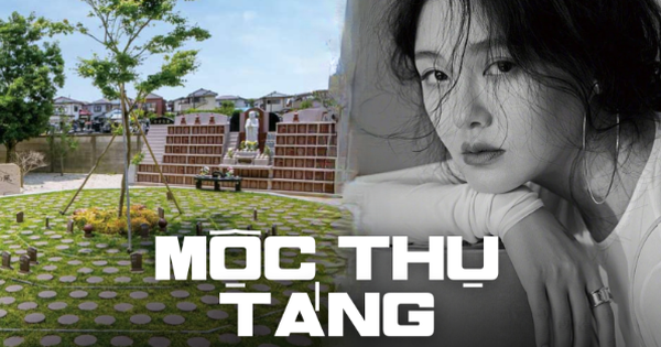 Mộc thụ táng - Hình thức chôn cất theo di nguyện của Từ Hy Viên được thực hiện như thế nào?