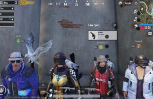 Game thủ Việt thích thú với tính năng thú cưng mới ra mắt trong PUBG Mobile