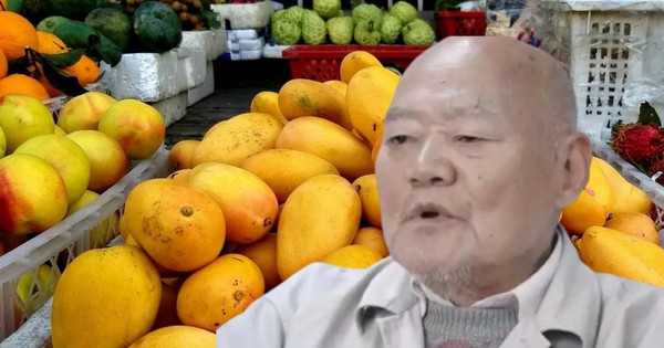 Cụ ông 88 tuổi qua đời, viết di chúc để lại BĐS hơn 10 tỷ đồng cho người bán trái cây, họ hàng kiện đòi thừa kế: Tòa phán 