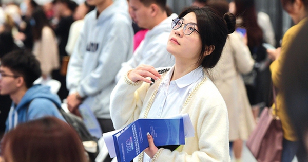 Gửi 2.000 CV mới tìm được việc