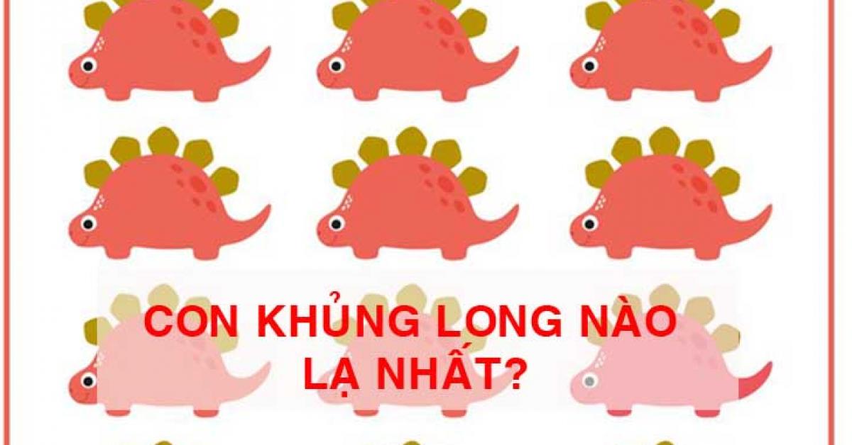 Tổng hợp bài quiz khiến bạn hoa mắt chóng mặt cũng chưa giải được