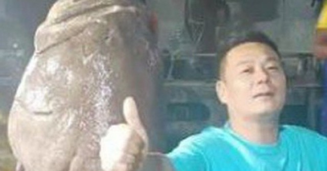 Ngư dân bắt được con cá mú khổng lồ nặng 125kg, giá 127 triệu đồng